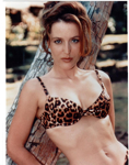 Gillian Anderson5